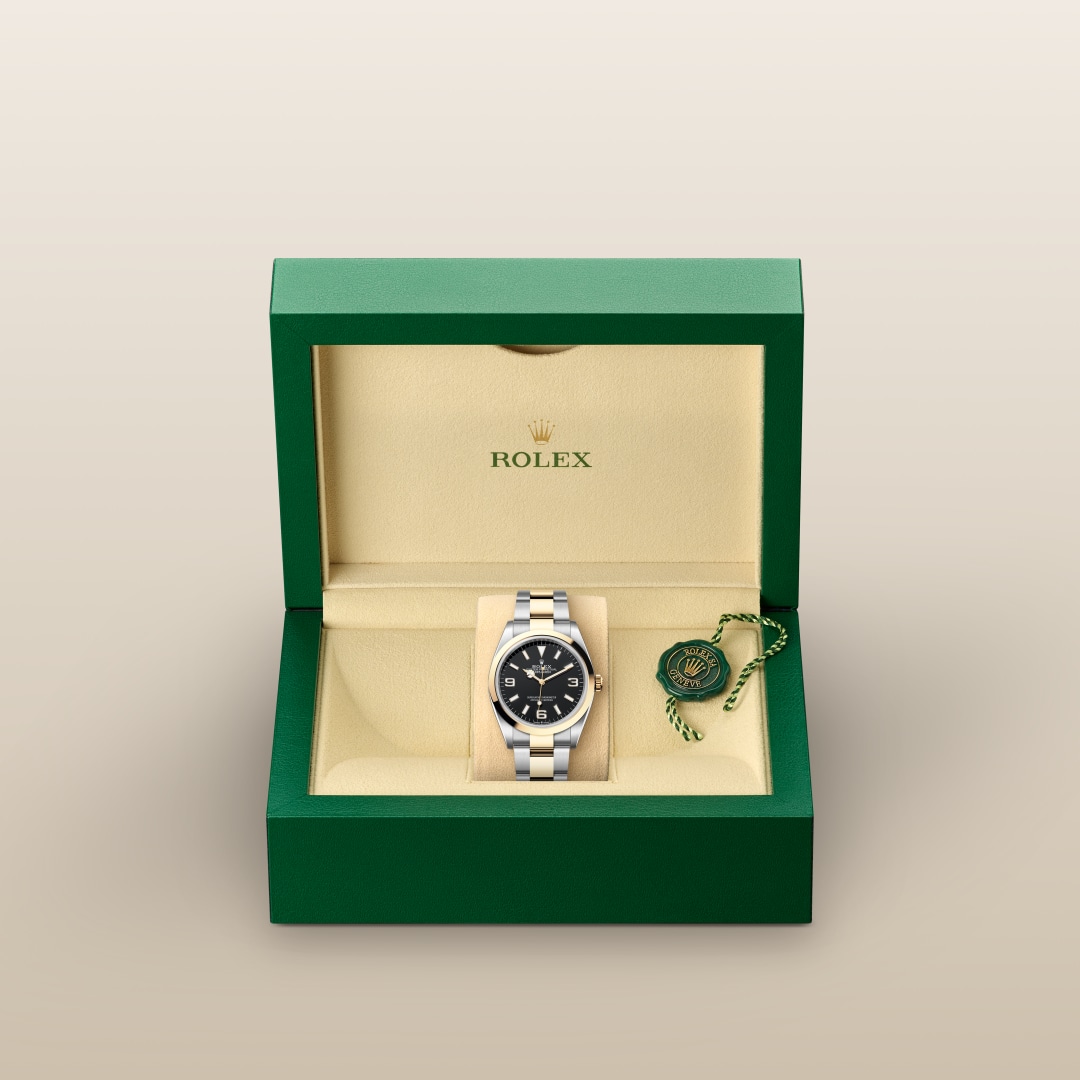 rolex-Explorer-in-Oyster, 36 มม., Oystersteel และทองคำ-Explorer 36,-m124273-0001-นำสว่าง