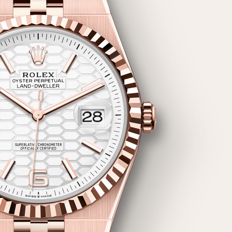 Up close of Rolex Land-Dweller in 18 ct Everose gold, m127335-0001 - Nam Sawang