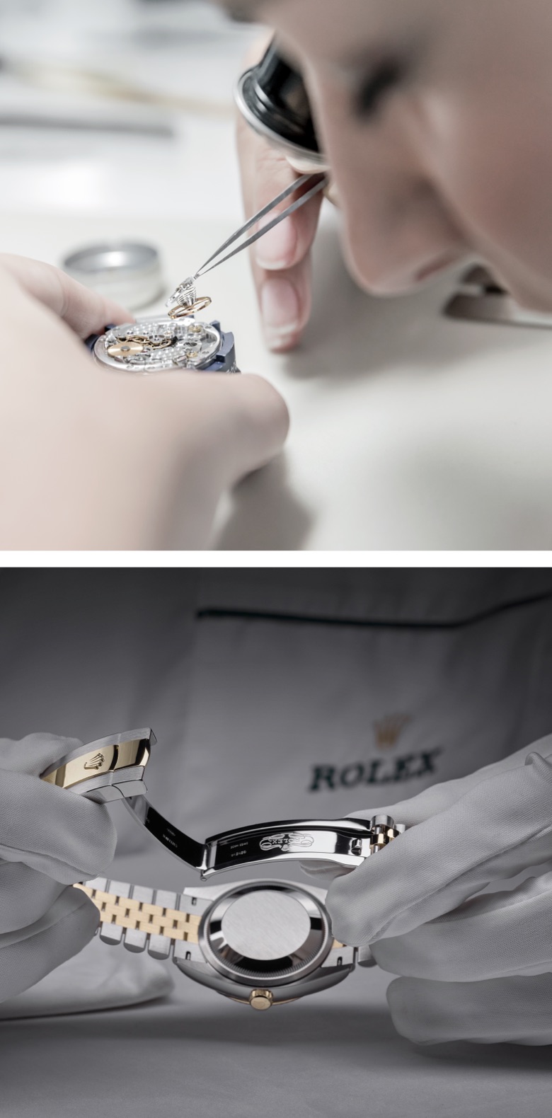 Rolex ในประเทศไทย - นำสว่าง