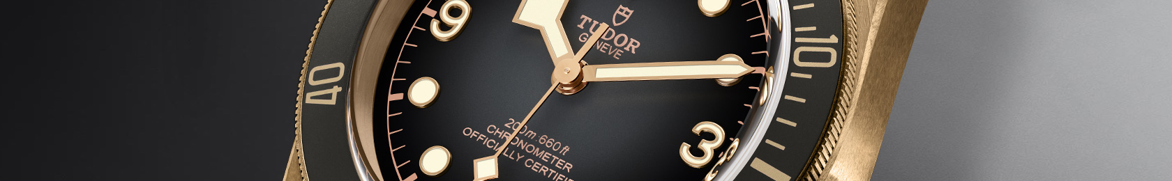 Tudor BLACK BAY BRONZE thailand bangkok namsawang