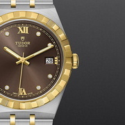 Tudor watch collection - TUDOR ROYAL available in Bangkok, Thailand