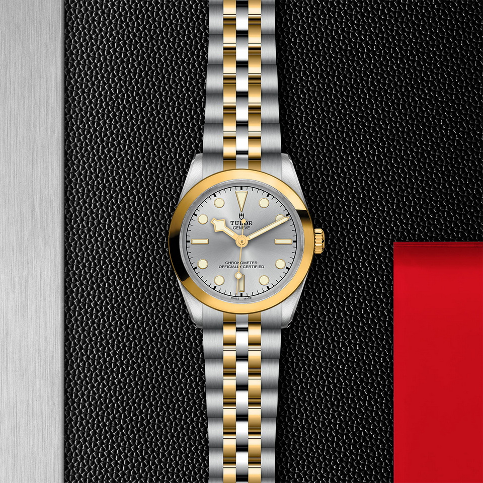 tudor Black Bay One 31 S&G M79603-0002 ราคา ที่นำสว่าง thailand bangkok