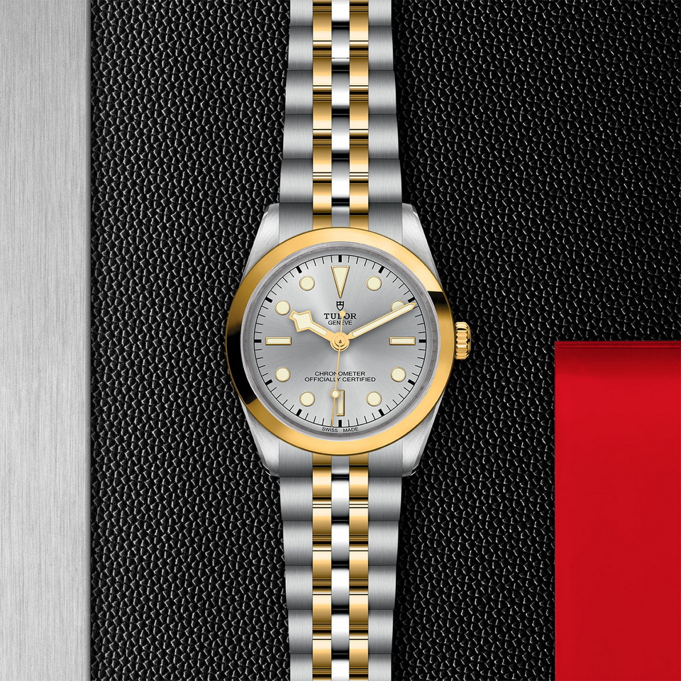 tudor Black Bay One 36 S&G M79643-0002 ราคา ที่นำสว่าง thailand bangkok