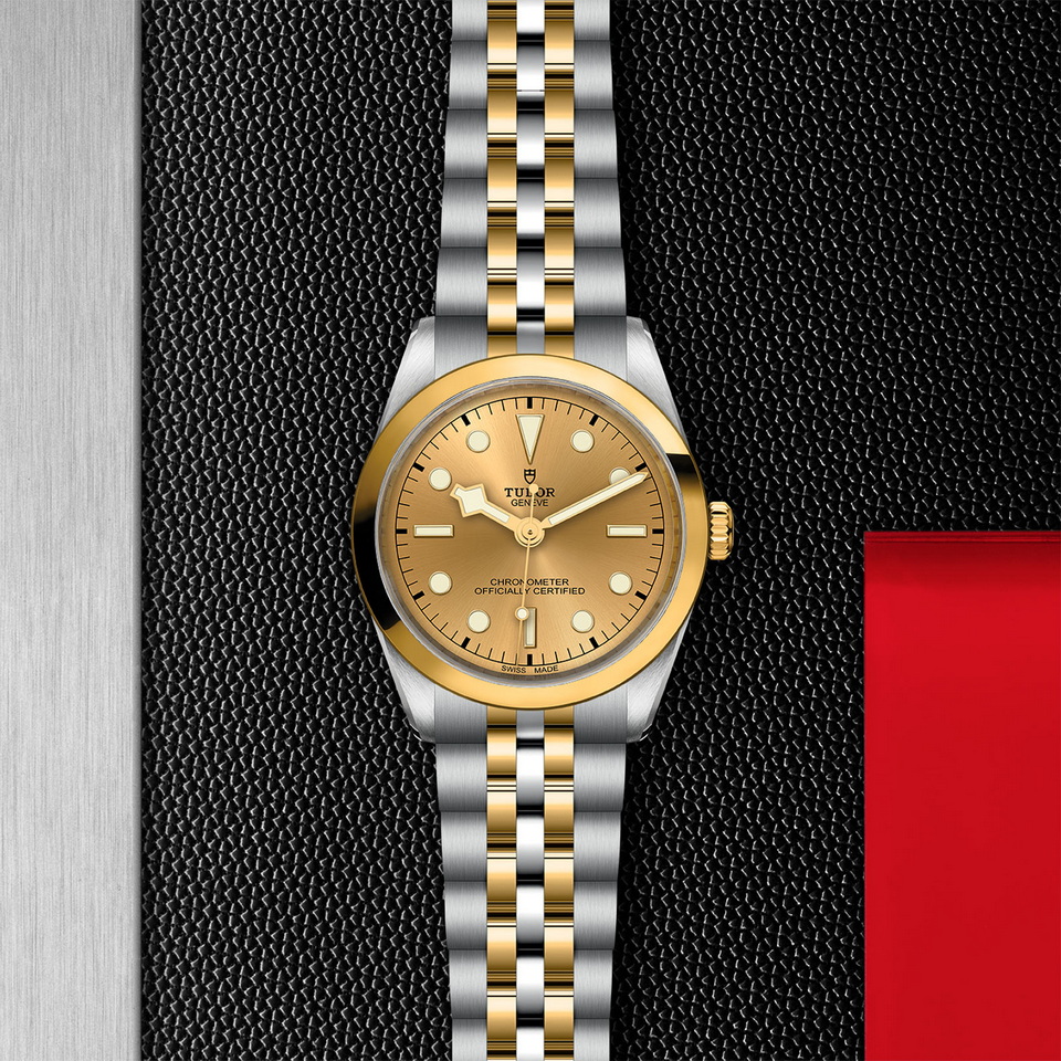 tudor Black Bay One 36 S&G M79643-0005 ราคา ที่นำสว่าง thailand bangkok