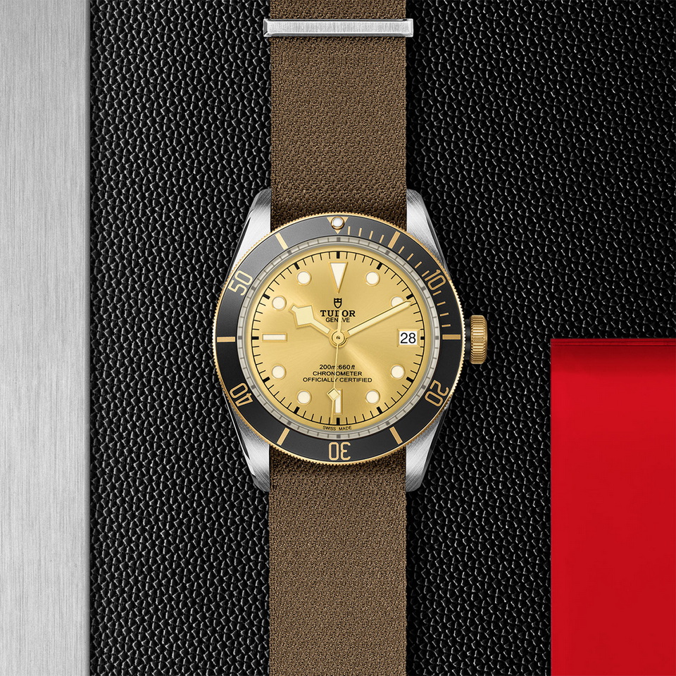 tudor Black Bay S&G M79733N-0006 ราคา ที่นำสว่าง thailand bangkok