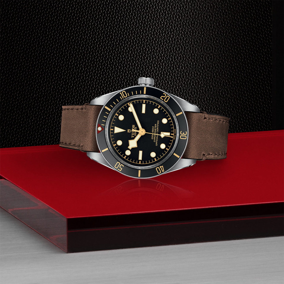 tudor Black Bay 58 M79030N-0002 ราคา ที่นำสว่าง thailand bangkok