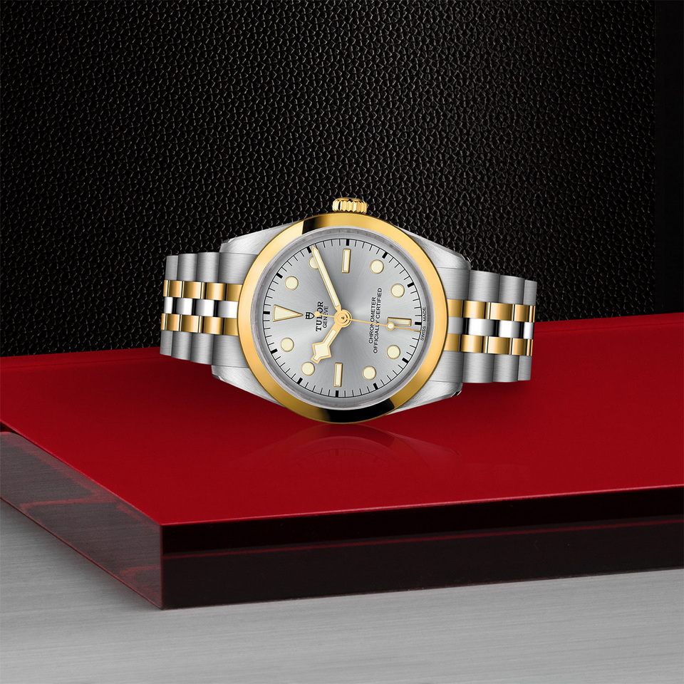 tudor Black Bay One 36 S&G M79643-0002 ราคา ที่นำสว่าง thailand bangkok