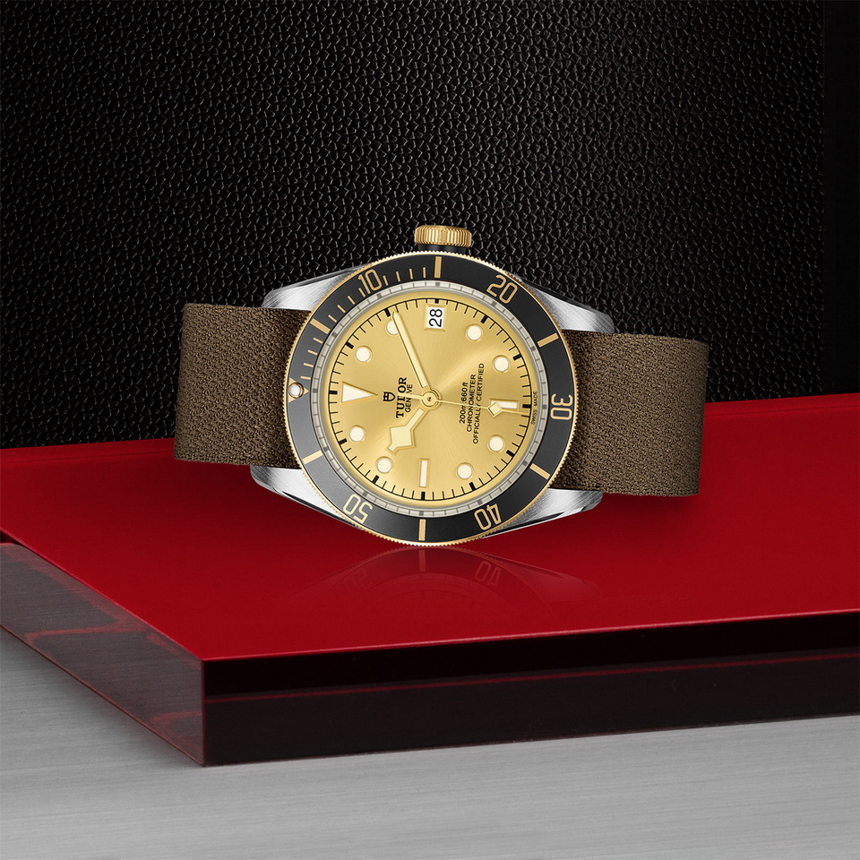 tudor Black Bay S&G M79733N-0006 ราคา ที่นำสว่าง thailand bangkok