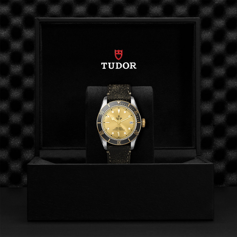 tudor Black Bay S&G M79733N-0003 ราคา ที่นำสว่าง thailand bangkok