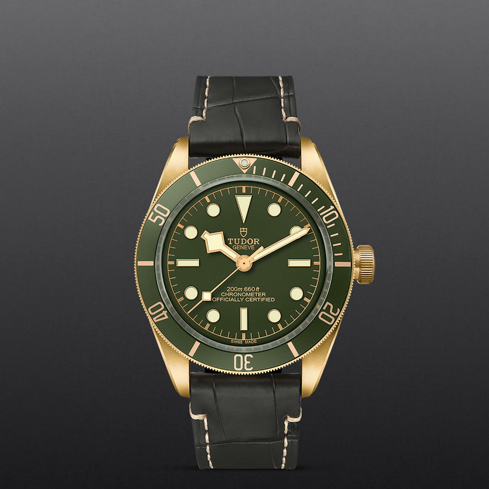 tudor Black Bay 58 18K M79018V-0001 ราคา ที่นำสว่าง thailand bangkok