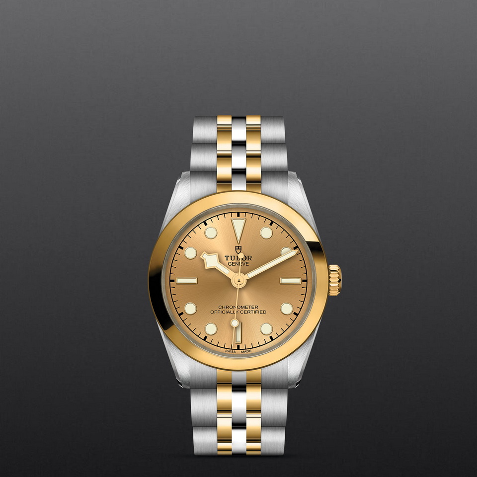 tudor Black Bay One 31 S&G M79603-0005 ราคา ที่นำสว่าง thailand bangkok