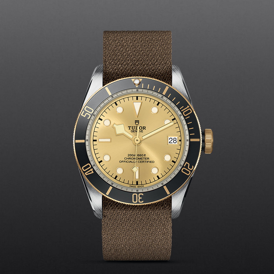 Tudor Black Bay S G M79733N 0006 Nam Sawang
