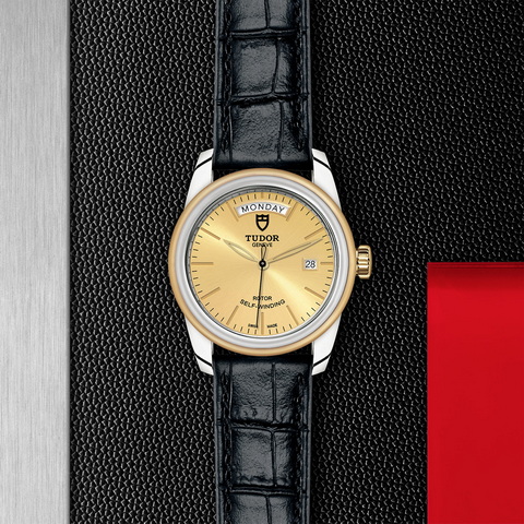 tudor TUDOR Glamour Date+Day M56003-0024 controller