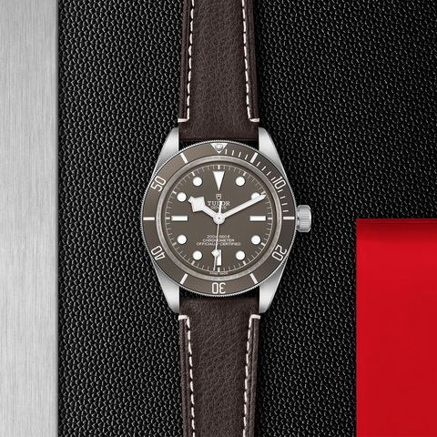 tudor Black Bay 58 925 M79010SG-0001 controller