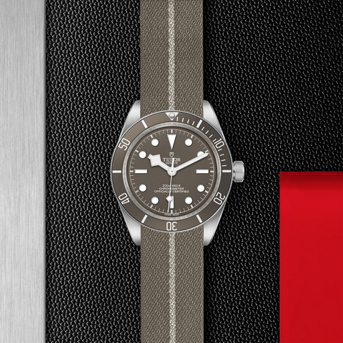 tudor Black Bay 58 925 M79010SG-0002 controller