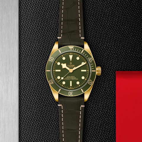 tudor Black Bay 58 18K M79018V-0001 controller