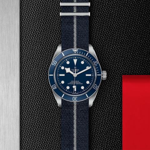 tudor Black Bay 58 M79030B-0003 controller