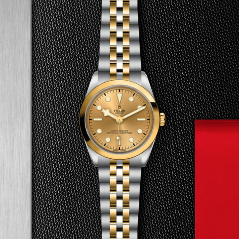 tudor Black Bay One 36 S&G M79643-0005 controller