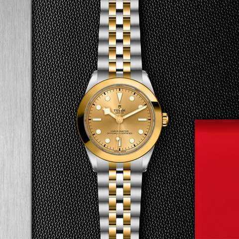 tudor Black Bay One 39 S&G M79663-0005 controller