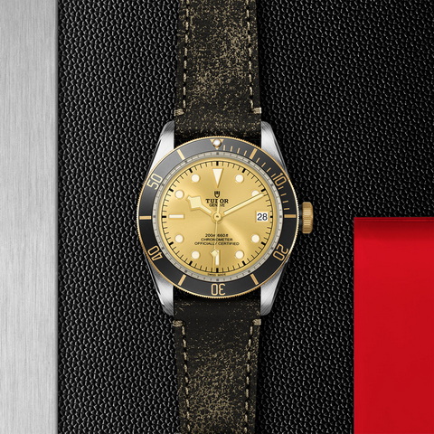 tudor Black Bay S&G M79733N-0003 controller