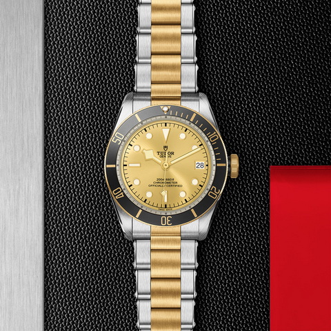 tudor Black Bay S&G M79733N-0004 controller