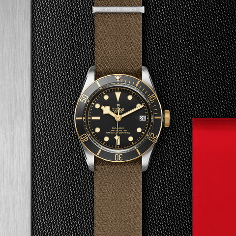 tudor Black Bay S&G M79733N-0005 controller