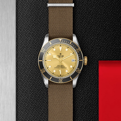 tudor Black Bay S&G M79733N-0006 controller
