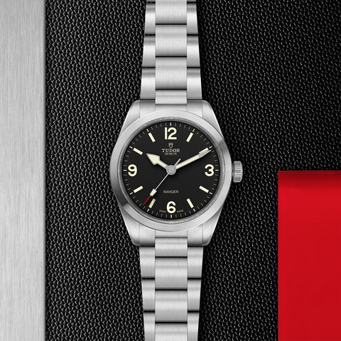 tudor Ranger M79950-0001 controller