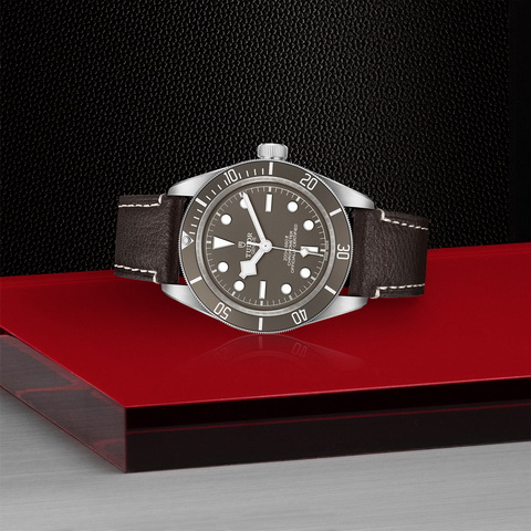 tudor Black Bay 58 925 M79010SG-0001 controller