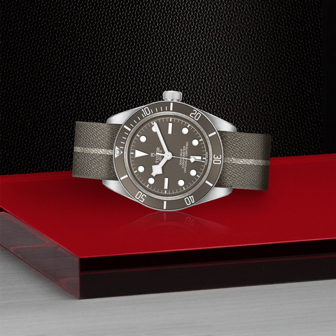 tudor Black Bay 58 925 M79010SG-0002 controller