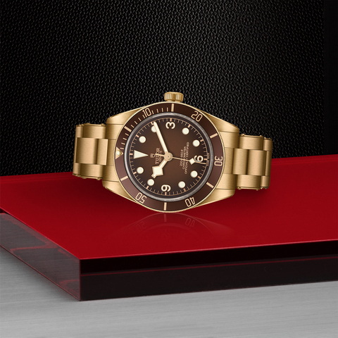 tudor Black Bay 58 Bronze M79012M-0001 controller