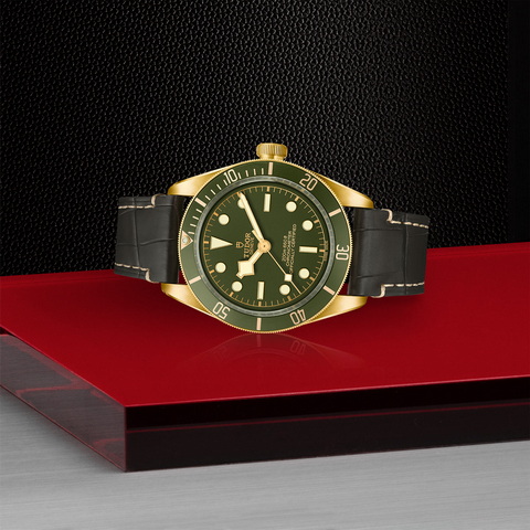 tudor Black Bay 58 18K M79018V-0001 controller