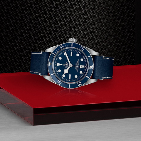 tudor Black Bay 58 M79030B-0002 controller