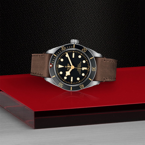 tudor Black Bay 58 M79030N-0002 controller