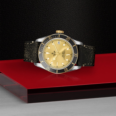 tudor Black Bay S&G M79733N-0003 controller