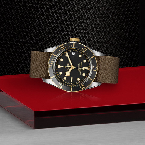 tudor Black Bay S&G M79733N-0005 controller