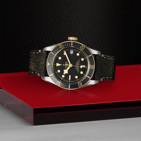 tudor Black Bay S&G M79733N-0007 controller