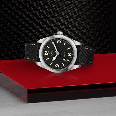 tudor Ranger M79950-0002 controller