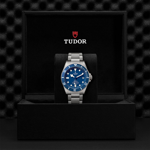 tudor Pelagos M25600TB-0001 controller