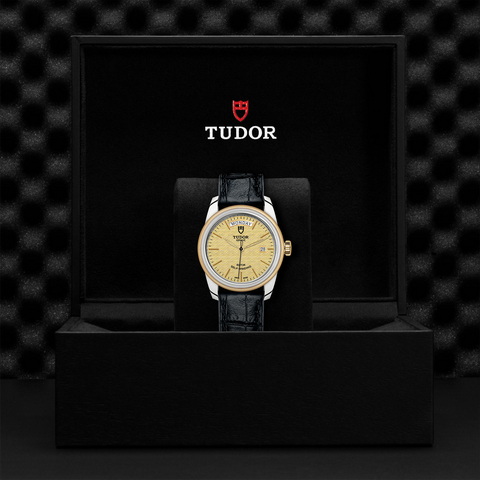 tudor TUDOR Glamour Date+Day M56003-0010 controller