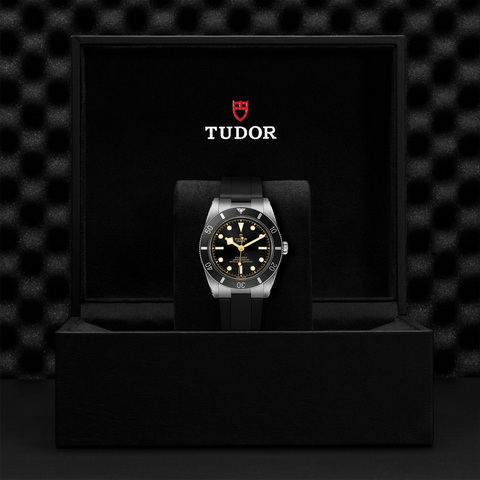 tudor Black Bay 54 M79000N-0002 controller
