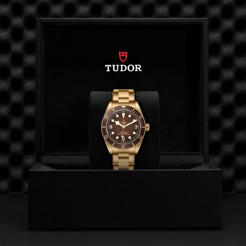 tudor Black Bay 58 Bronze M79012M-0001 controller