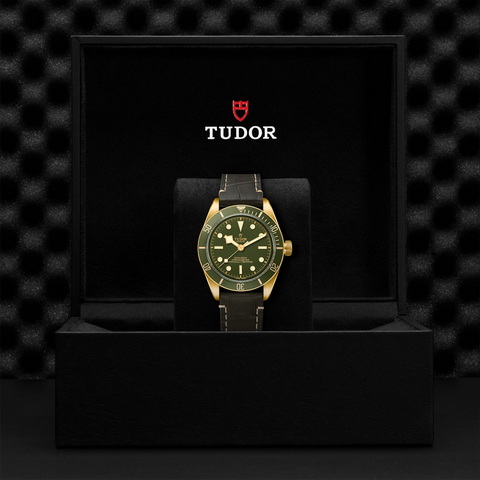 tudor Black Bay 58 18K M79018V-0001 controller