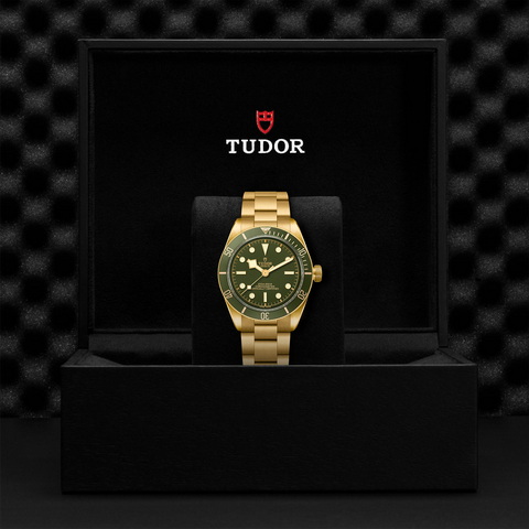 tudor Black Bay 58 18K M79018V-0006 controller