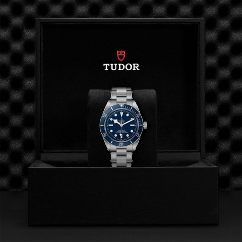 tudor Black Bay 58 M79030B-0001 controller