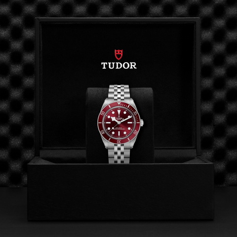 tudor Black Bay 58 M7939A1A0RU-0001 controller