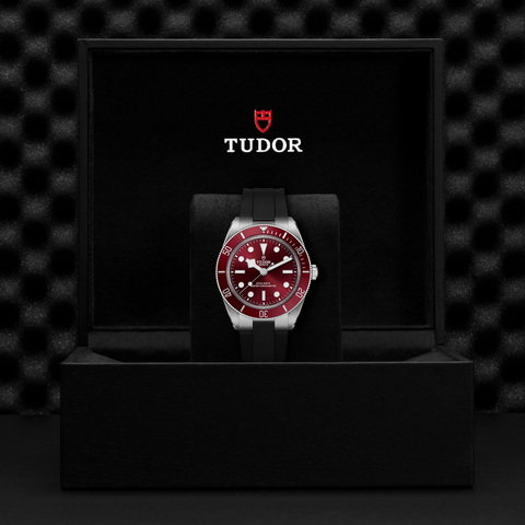 tudor Black Bay 58 M7939A1A0RU-0003 controller