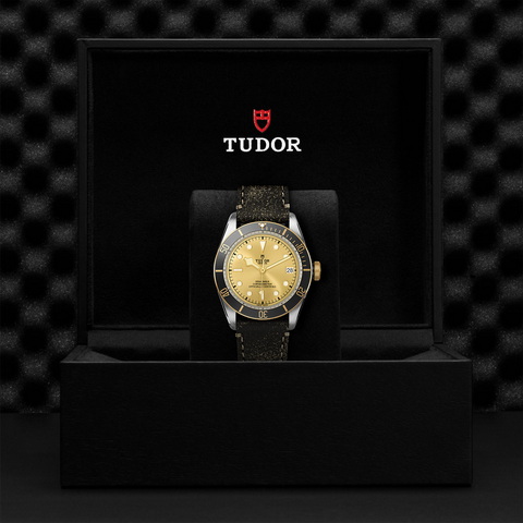 tudor Black Bay S&G M79733N-0003 controller