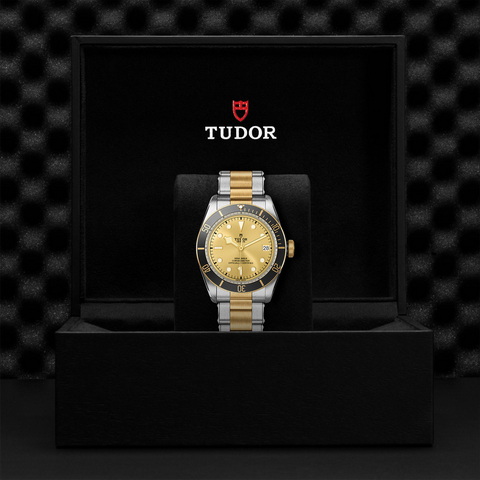 tudor Black Bay S&G M79733N-0004 controller
