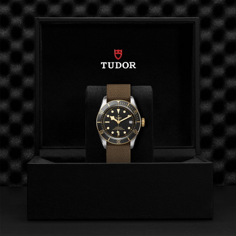 tudor Black Bay S&G M79733N-0005 controller